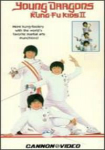 Young Dragons: Kung Fu Kids II