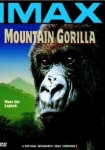 Mountain Gorilla