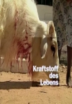 Das Blut - Kraftstoff des Lebens