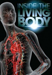 Inside the Living Body