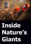 Inside Nature's Giants