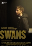 Swans