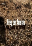 Krieg der Ameisen