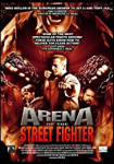 Arena of the Street Fighter