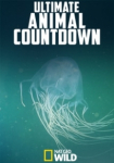 Ultimate Animal Countdown