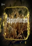 Terra X: Superpflanzen