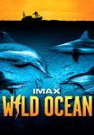 IMAX: Wild Ocean 3D - Überlebenskampf unter Wasser