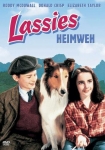 Lassie komm zurück