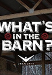 What's in the Barn?