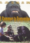 A Summer to Remember