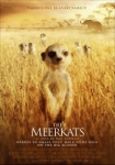 The Meerkats