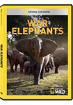 War Elephants