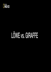 Löwe vs Giraffe